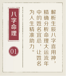 湛江起名流程一